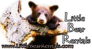 Little Bear Property Management